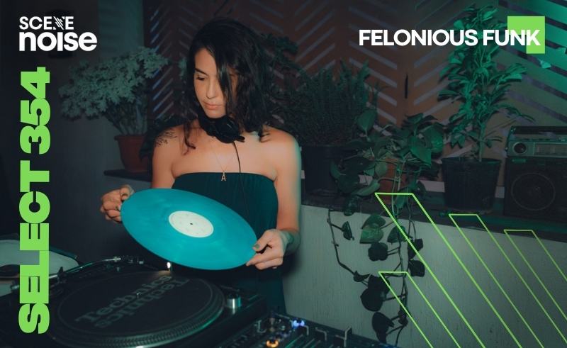 Select 354: Mixed by Felonious Funk