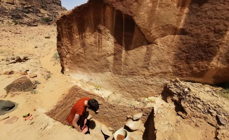 Life-Sized Animal Rock Carvings Found in Northern Saudi Arabia
