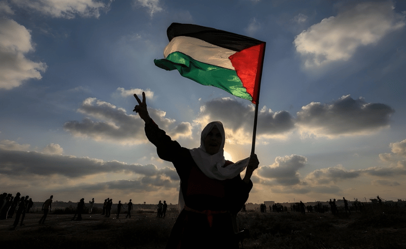 Where to Volunteer to Support Displaced Palestinians in Egypt