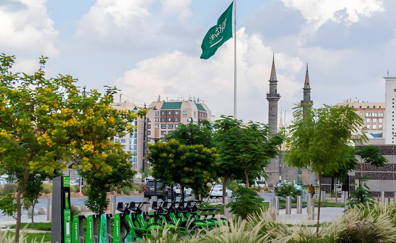 2.1 Million Trees to Be Planted Across Madinah