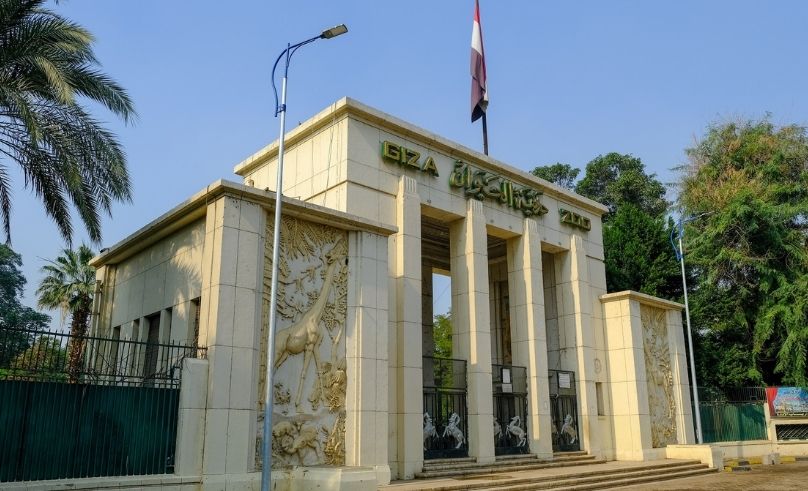 Darb 1718 Opens Artist Call for Giza Zoo Collective Exhibition