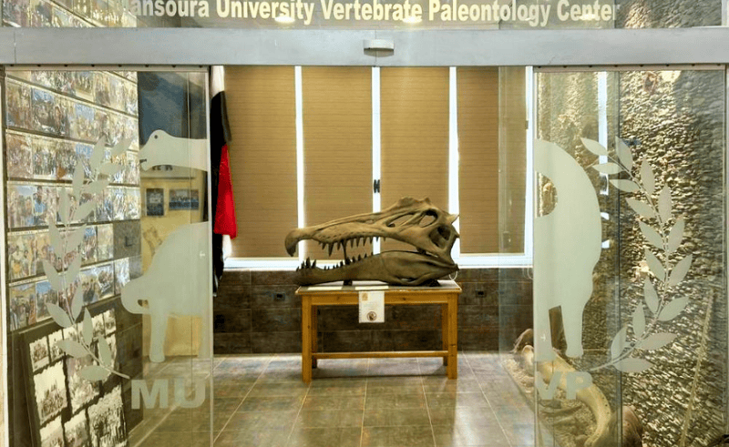 Prehistoric Crocodile Species Discovered in Western Desert