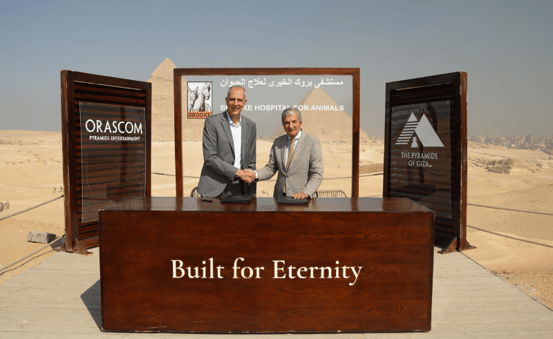 Orascom Pyramids & Brooke Hospital Partner to Enhance Animal Welfare