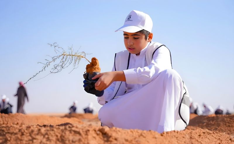 King Salman Royal Reserve Plants More Than 3000 Seedlings in Jouf