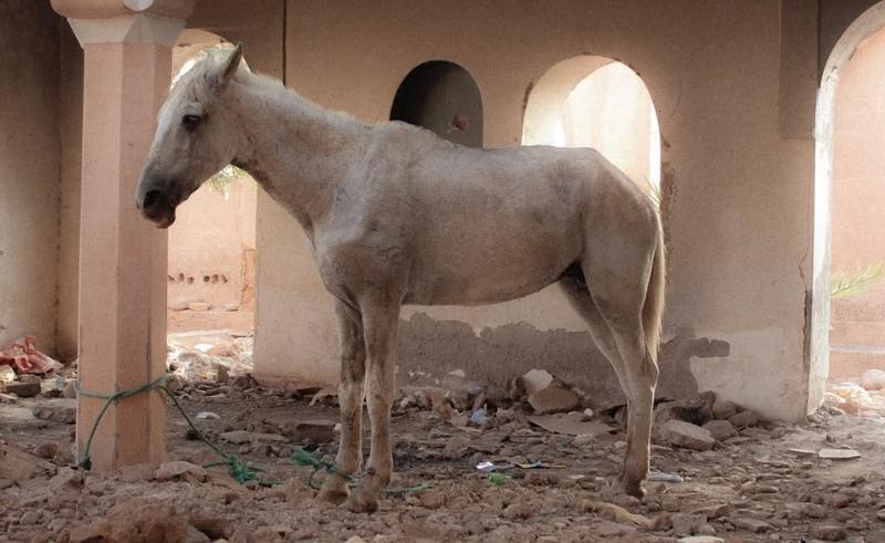 Archidi Maps the Unconscious Mind in Ambient EP 'Angle Mort'