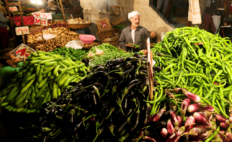 Egypt’s Food Exports Reach USD 4.23 Billion in Eight Months