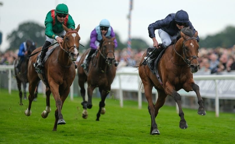 Dubai World Cup 2026 Tickets Now on Sale with Early-Bird Options