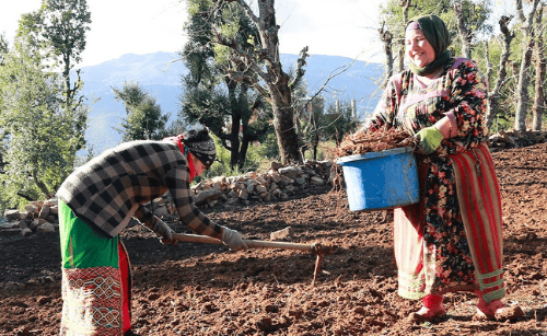 Rawy Films Calls for SWANA Film Submissions for Their Pop-Up Cinema