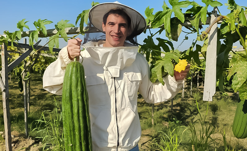 Heirloom Turns Loofah Into Egypt’s Most Unlikely Honey