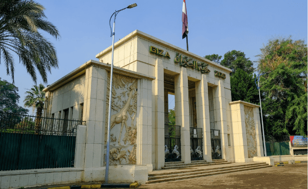 118 New Animal Species to Enhance Biodiversity at Giza Zoo