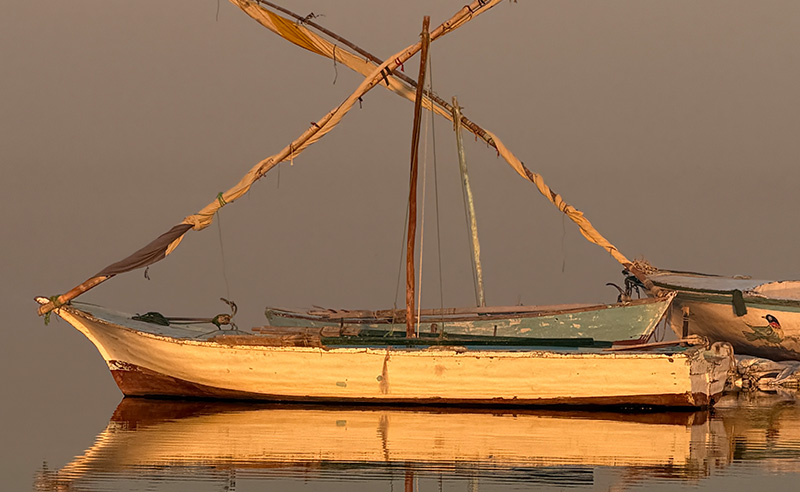 Climate Storytelling at the Fayoum International Film Festival 