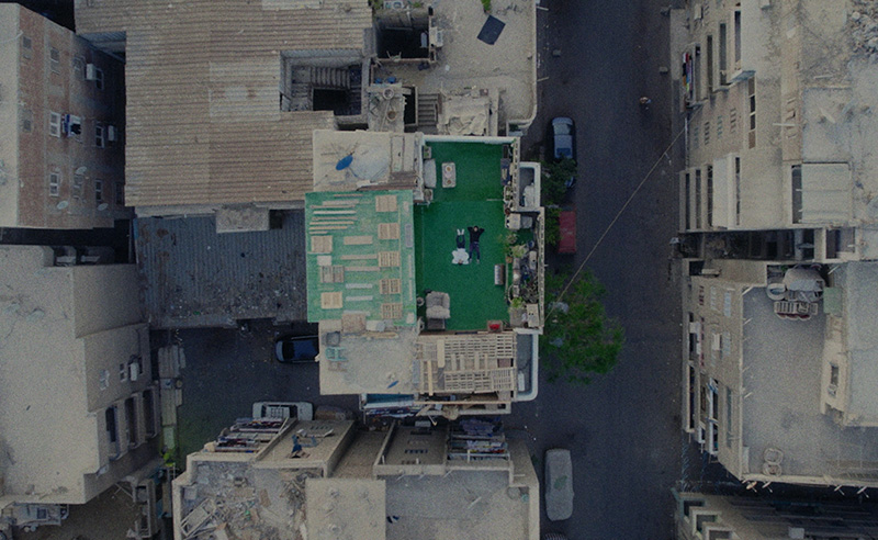 Marwan Tarek’s Short Film 'Umm El Donia' Maps Lost Green Spaces 