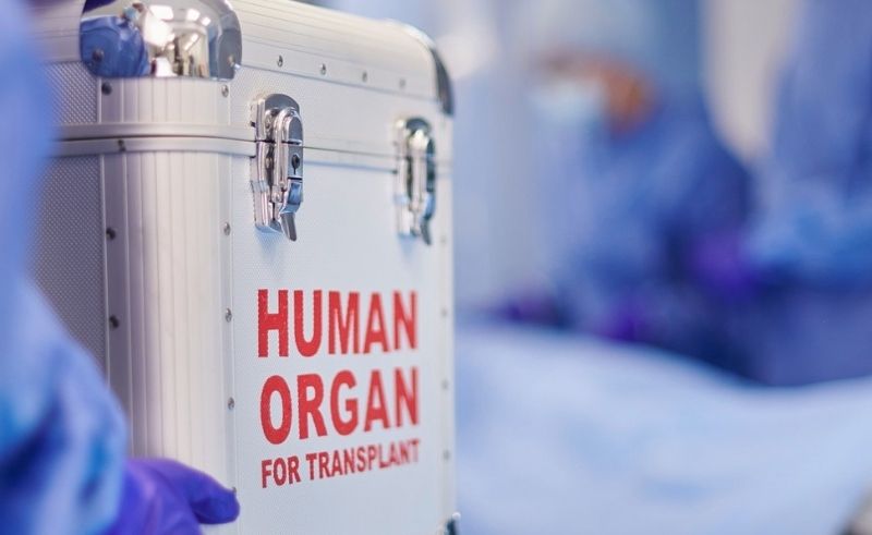 UAE Updates Organ Transplant Law to Regulate Use of Non-Human Organs