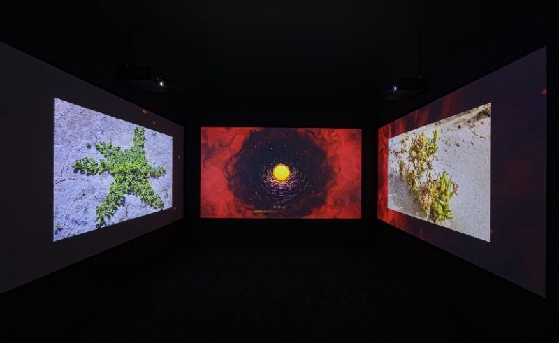  UAE Contemporary Art Shines in Seoul With Landmark Exhibition