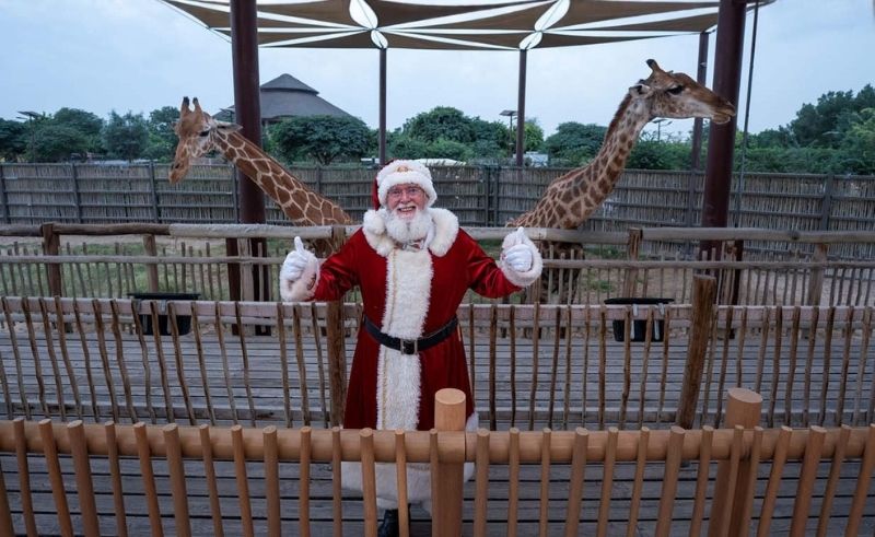 Dubai Safari Park Launches Its First Festive Village
