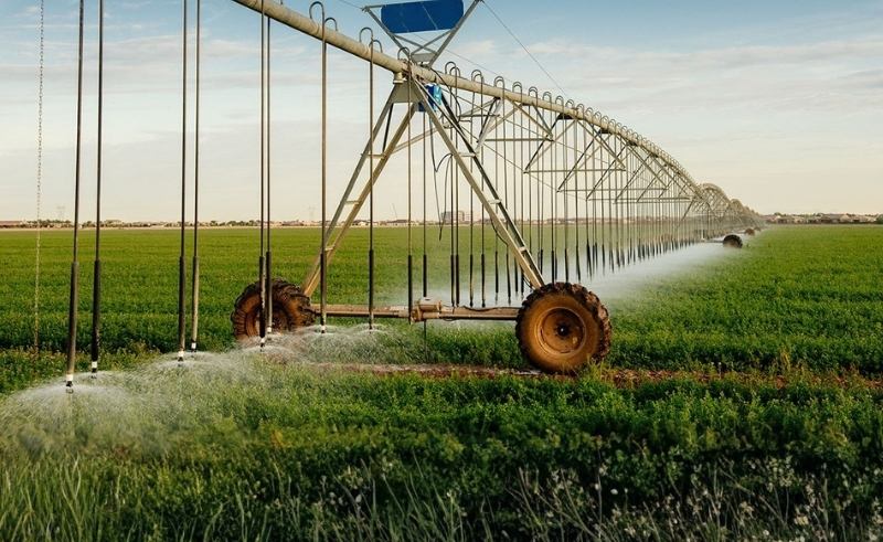 Under Saudi Reef’s Rural Support Program Rainfed Crops Surge 1,100%