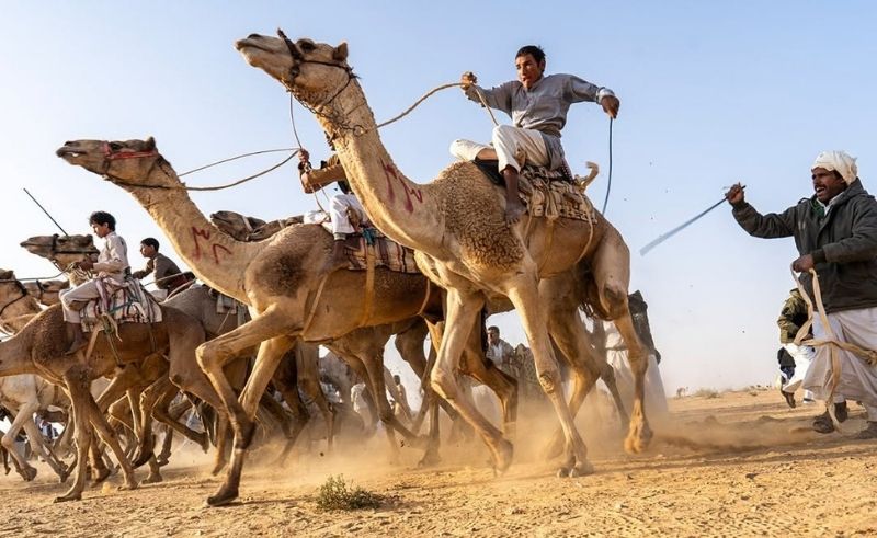 This Is Egypt's Largest-Ever Camel Race in the Sinai Desert