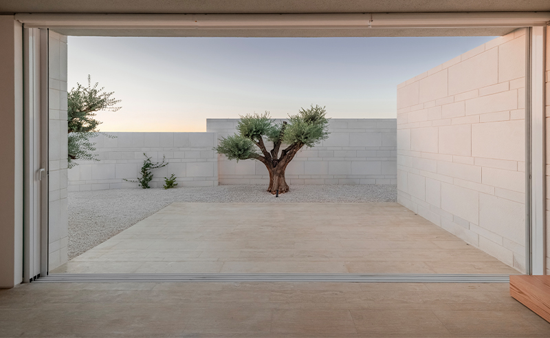 This Contemporary Amman Home is Shaped Around Salvaged Olive Trees