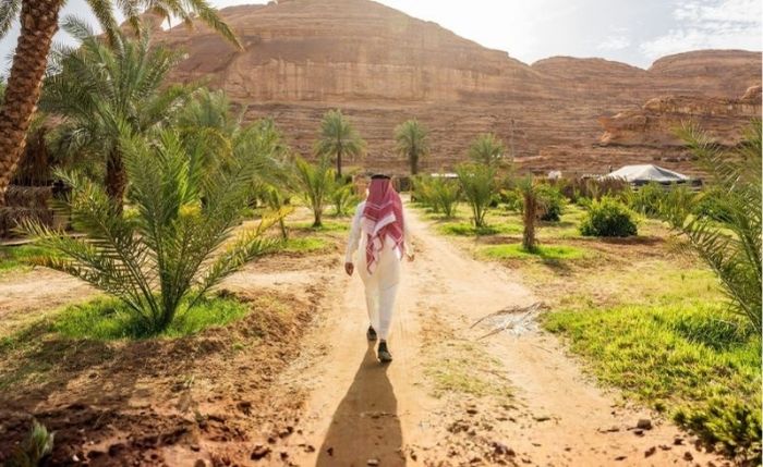  8 Nonprofit Associations Join Saudi National Vegetation Drive