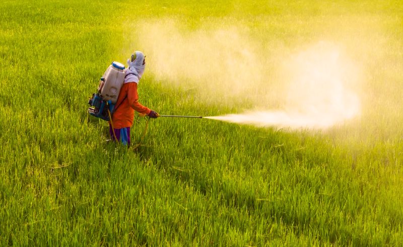 Chemical & Fertiliser Exports Climb Past USD 9.4 Billion in 2025
