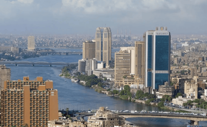 95 Digital Social Insurance Services Set to Launch Across Egypt