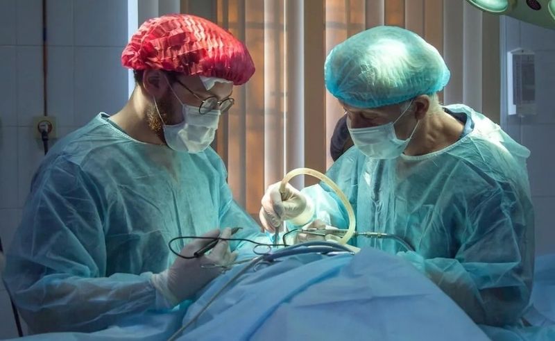 UAE Adopts Unified Clinical Training Guidelines for Health Students