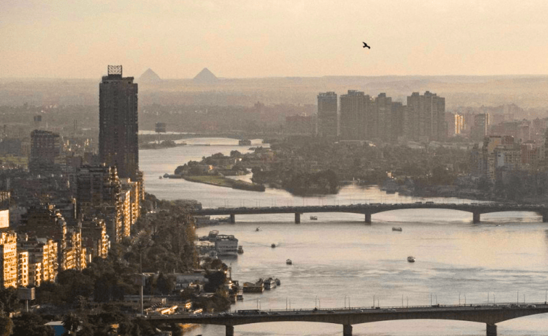  National Digital Pathology Network Launched to Boost Cancer Diagnosis