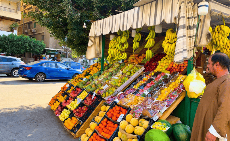 Egypt’s Agricultural Exports Reach USD 11.5 Billion in 2025