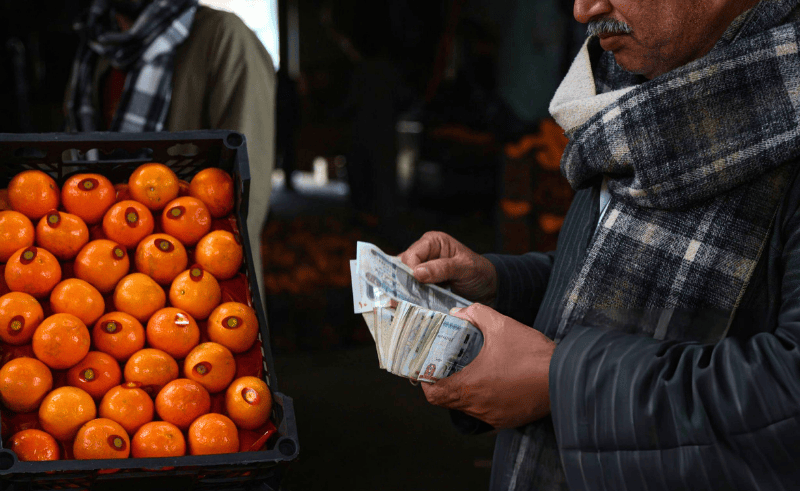 Egypt Citrus Exports Exceed 2.2 Million Tonnes in 2025