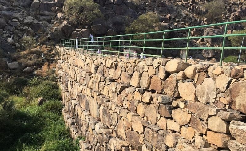 27 Eco-Cultural Heritage Sites Planned Across Saudi National Parks