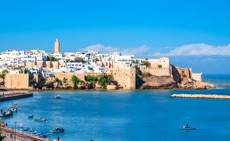 Tamwilcom Launches $69M Venture Builder for Moroccan Startups