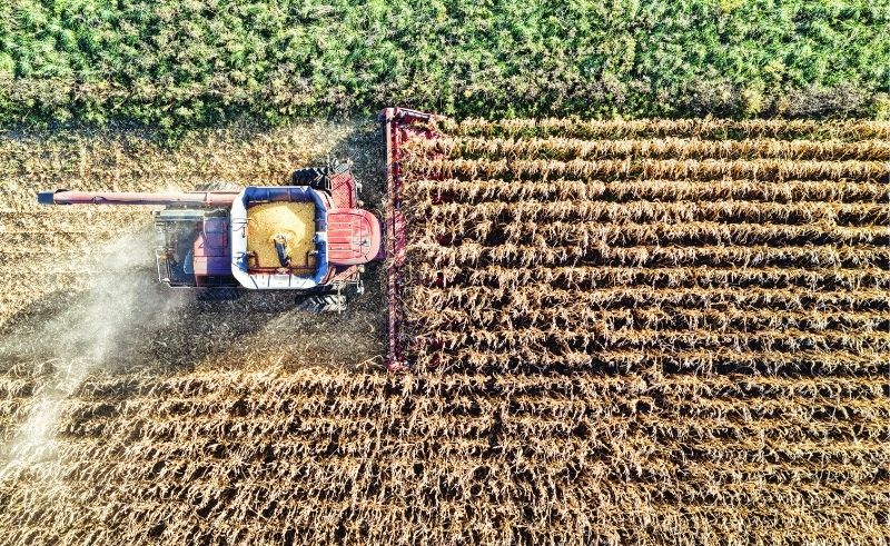 Jordan Launches National Agritech Incubator to Support Startups