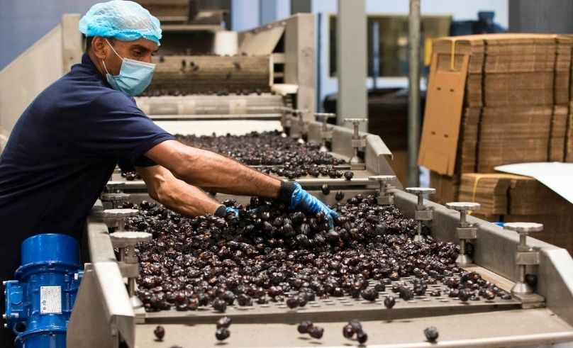 Dates Facility for Global Hunger Relief Built in the UAE