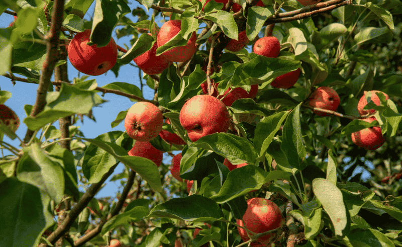 Agricultural Exports Reach 3.7 Million Tonnes Since Start of 2026