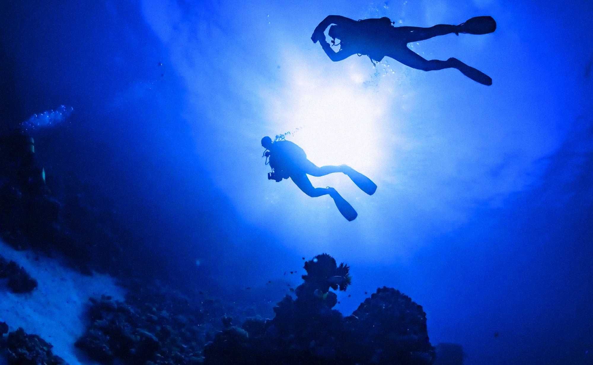 Learning to Dive in Marsa Alam as a Claustrophobic Swimmer