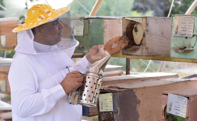 Eastern Region Produces Over 21 Tonnes of Mangrove Honey Per Year