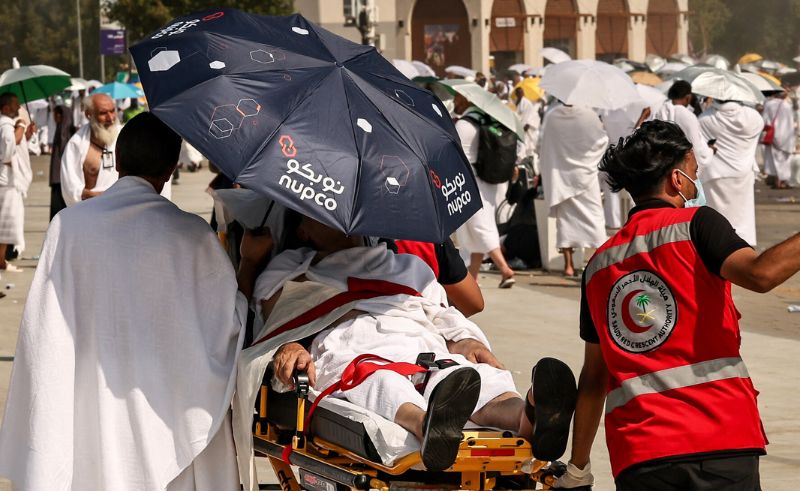 WHO Says Saudi Health Ministry Sets Benchmark for Pilgrim Health