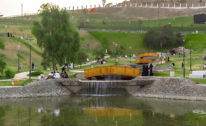Saudi Arabia Wants to Cool Riyadh Streets by 15°C