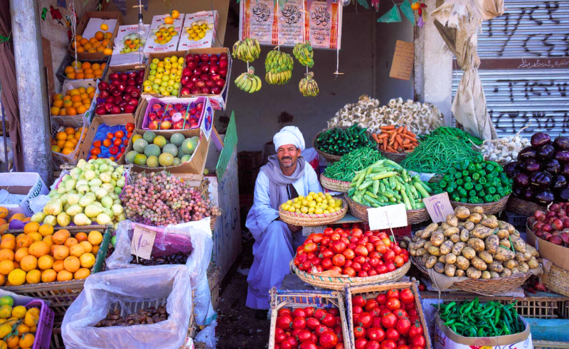 Egypt Agricultural Exports Surpass 9.5 Million Tonnes in 170 Markets