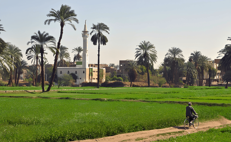 Over 1,250 Villages Connected to Fibre Internet Through Hayah Karima