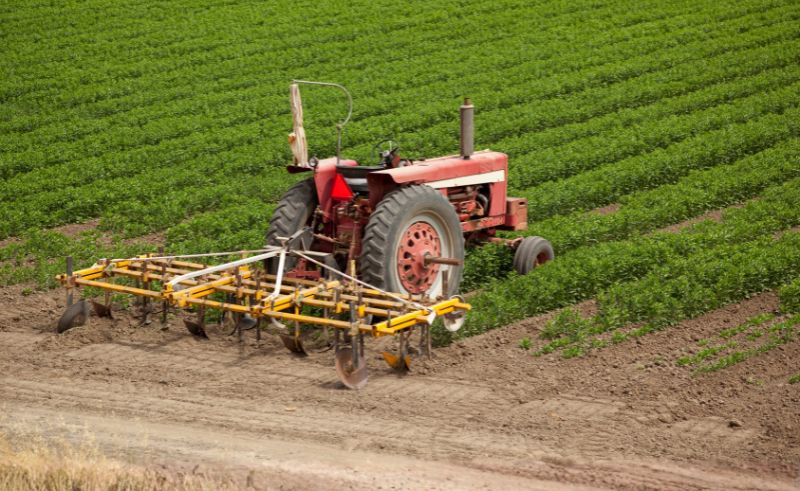 National Food Factory to Process 5,000 Tonnes of Produce Annually