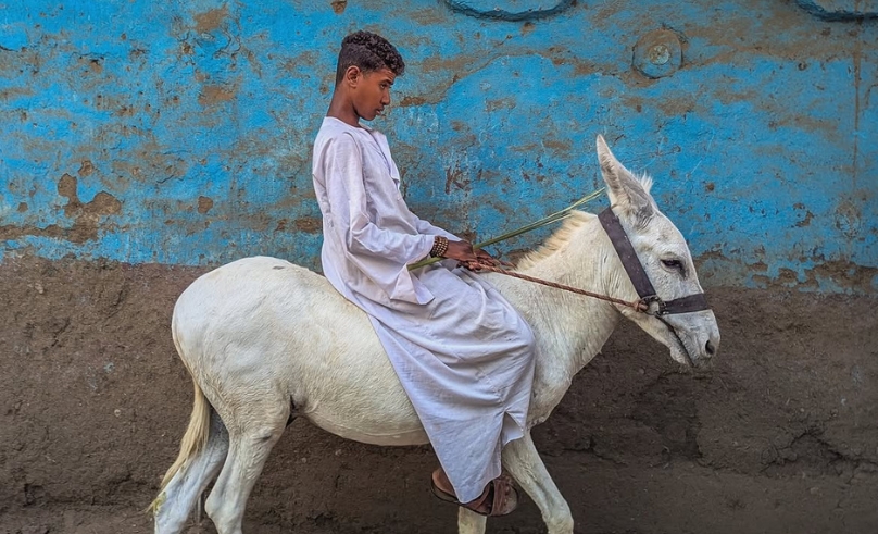 El Gouna Photo Week Opens Call for Upper Egypt Stories