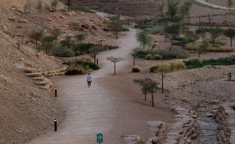 15,000 Native Trees Bring a 5°C Drop to Shayb Ghudwanah