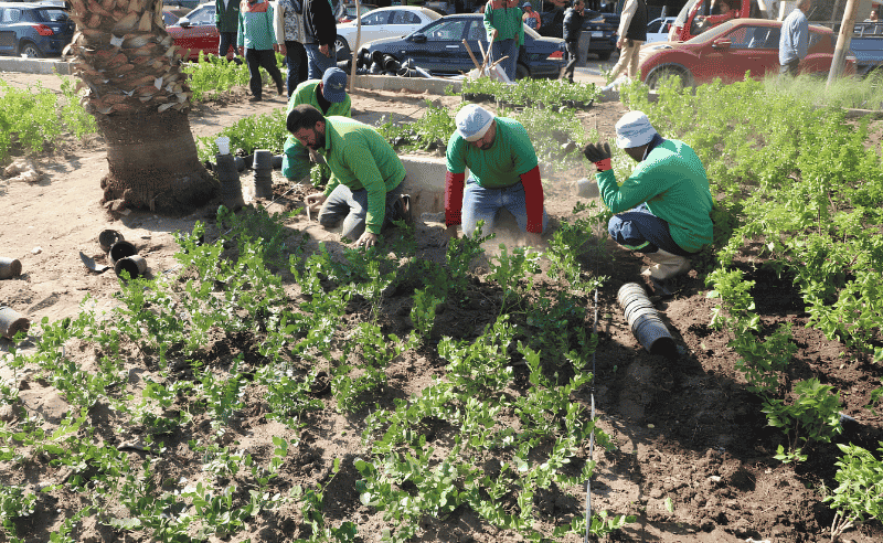 ‘Green Cairo’ Project to Turn Cleared Land Into Parks & Green Spaces