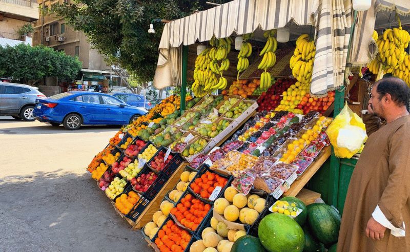 Six-Month Price Cut Initiative Launched for Basic Goods in Egypt