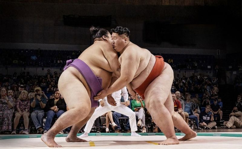 UAE to Host its First International Professional Sumo Competition