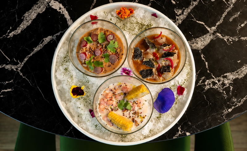 Where to Find the Best Ceviche in Egypt 