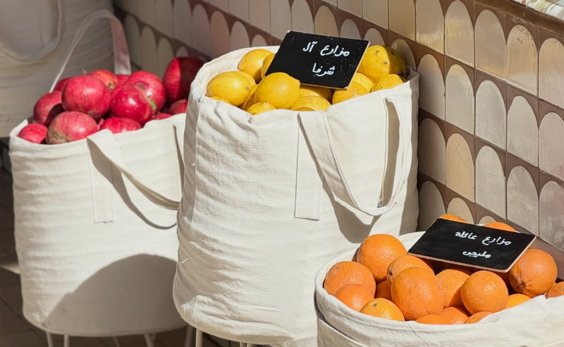 Bascota’s New District 5 Bakery Puts Egyptian Farms on the Menu