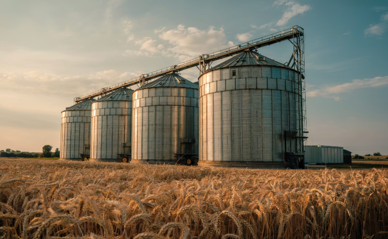 Grain Storage Capacity Targeted to Reach 6 Million Tons by 2030