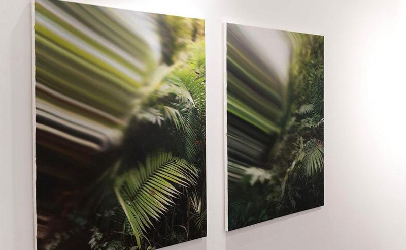 Stephan Kaluza Paints Forests That Don't Exist in Dubai